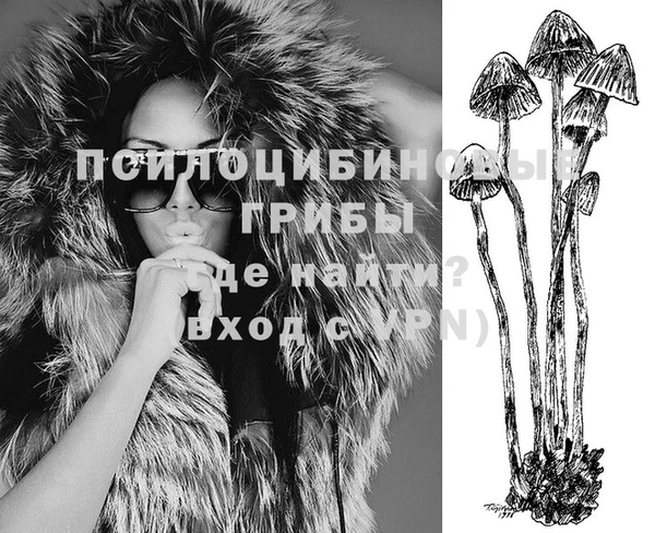 ГАЛЛЮЦИНОГЕННЫЕ ГРИБЫ Балахна