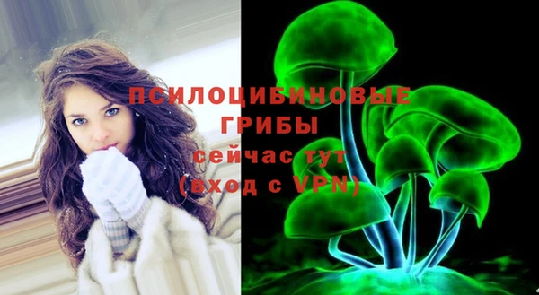 ГАЛЛЮЦИНОГЕННЫЕ ГРИБЫ Балахна