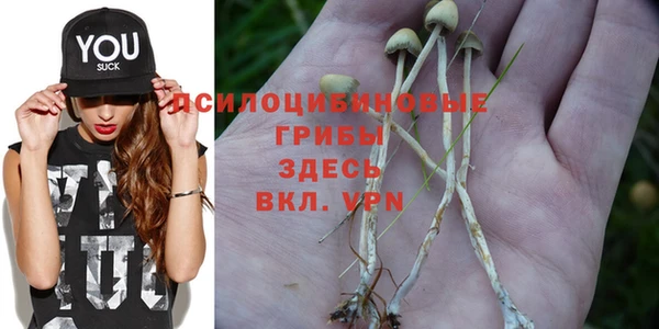ГАЛЛЮЦИНОГЕННЫЕ ГРИБЫ Балахна