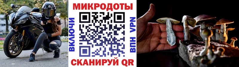 наркошоп  Новоульяновск  Галлюциногенные грибы GOLDEN TEACHER 